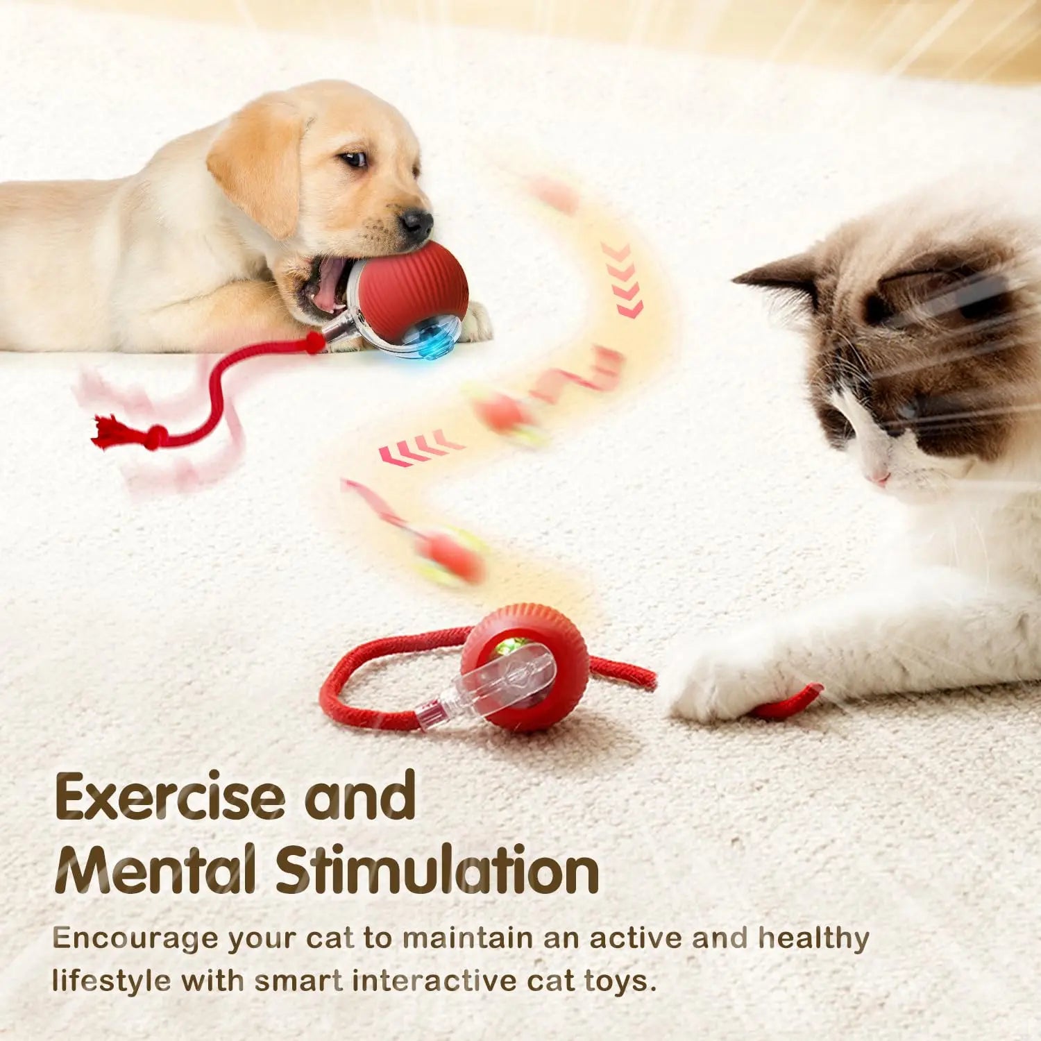 Pet Interactive Toy