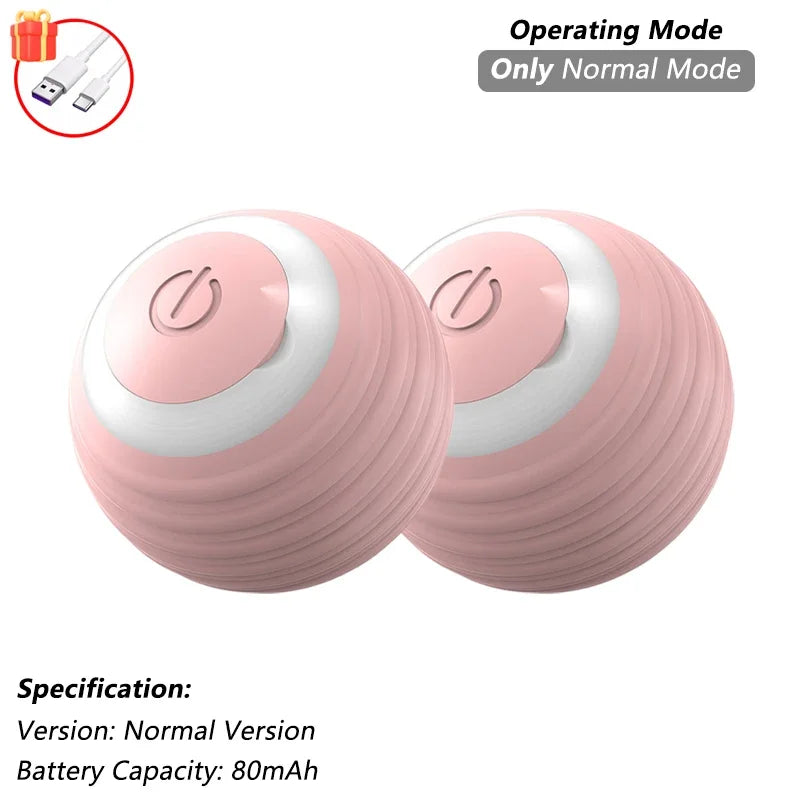 Pet Interactive Toy