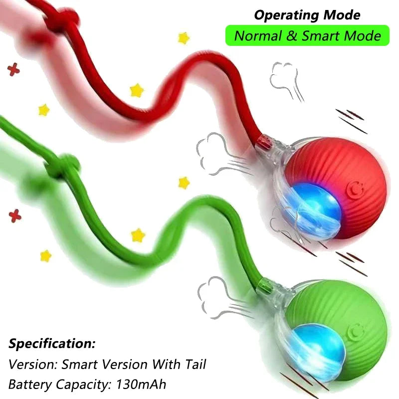 Pet Interactive Toy