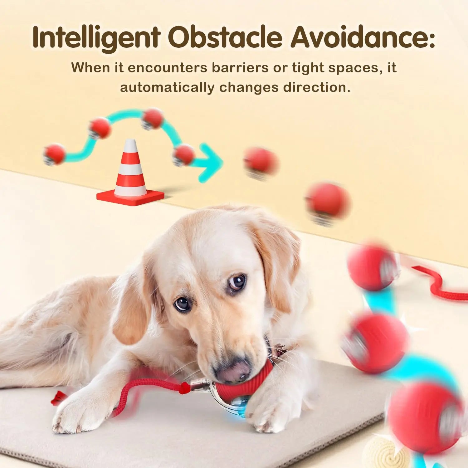 Pet Interactive Toy