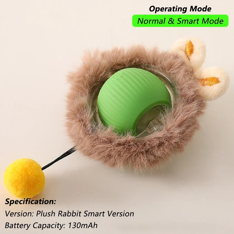 Pet Interactive Toy