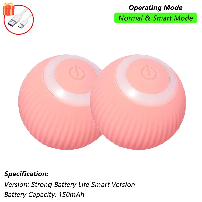 Pet Interactive Toy