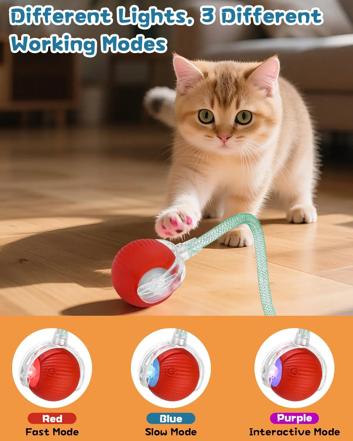 Pet Interactive Toy