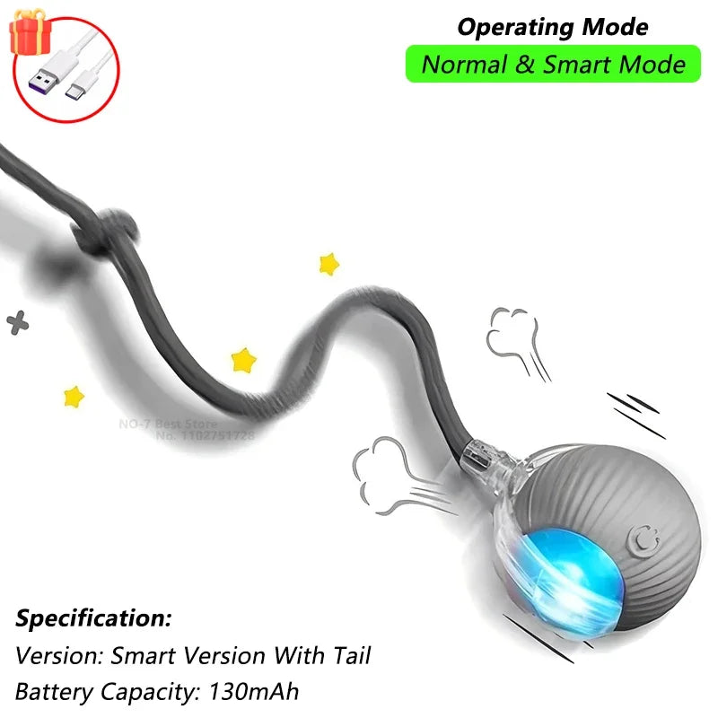 Pet Interactive Toy