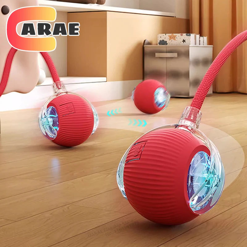 Pet Interactive Toy