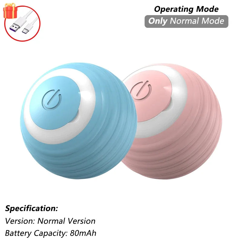 Pet Interactive Toy
