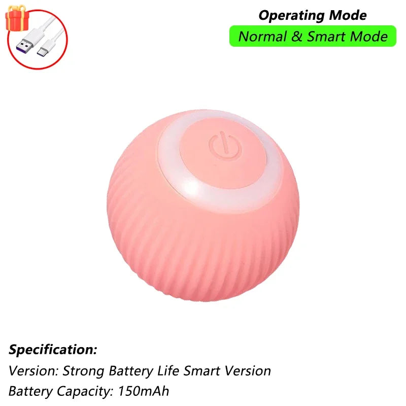 Pet Interactive Toy