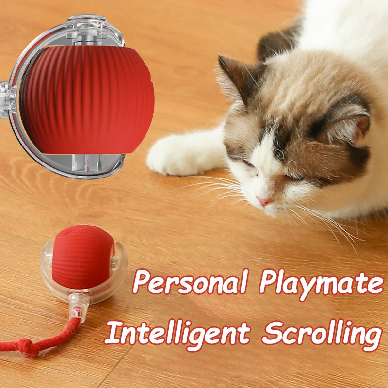 Pet Interactive Toy