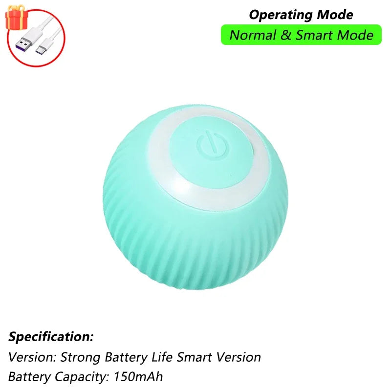 Pet Interactive Toy