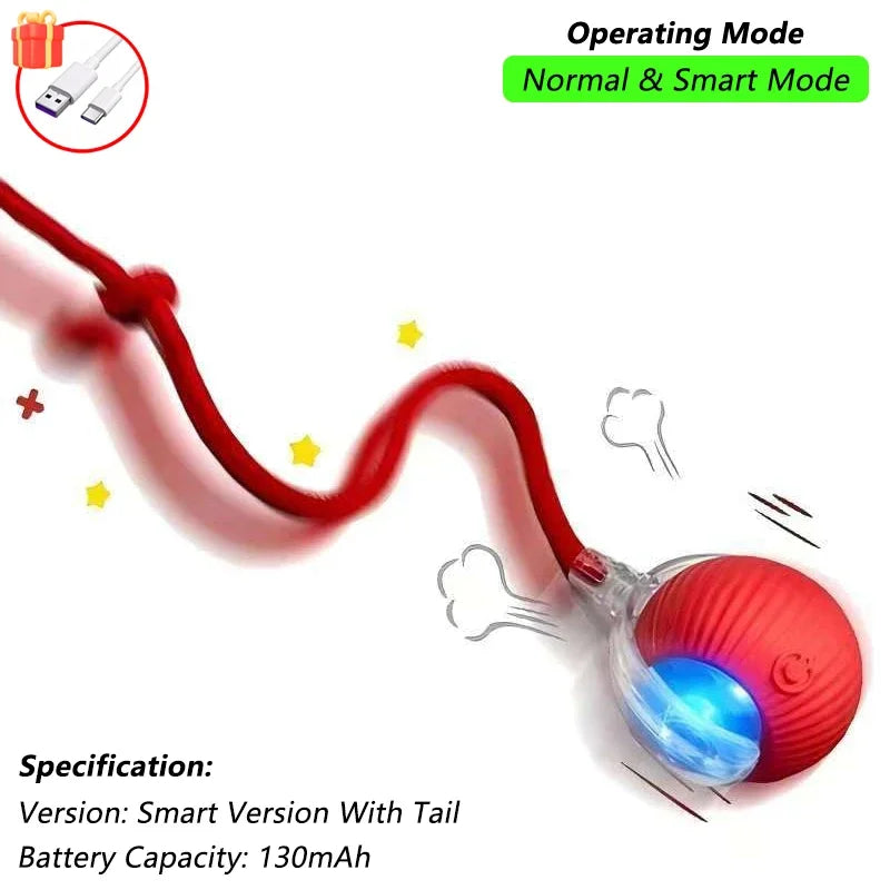 Pet Interactive Toy