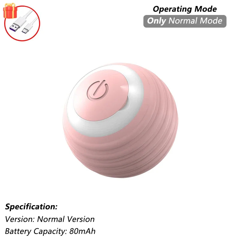 Pet Interactive Toy