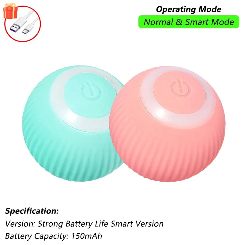 Pet Interactive Toy